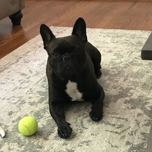 Meet your Posher, Gary